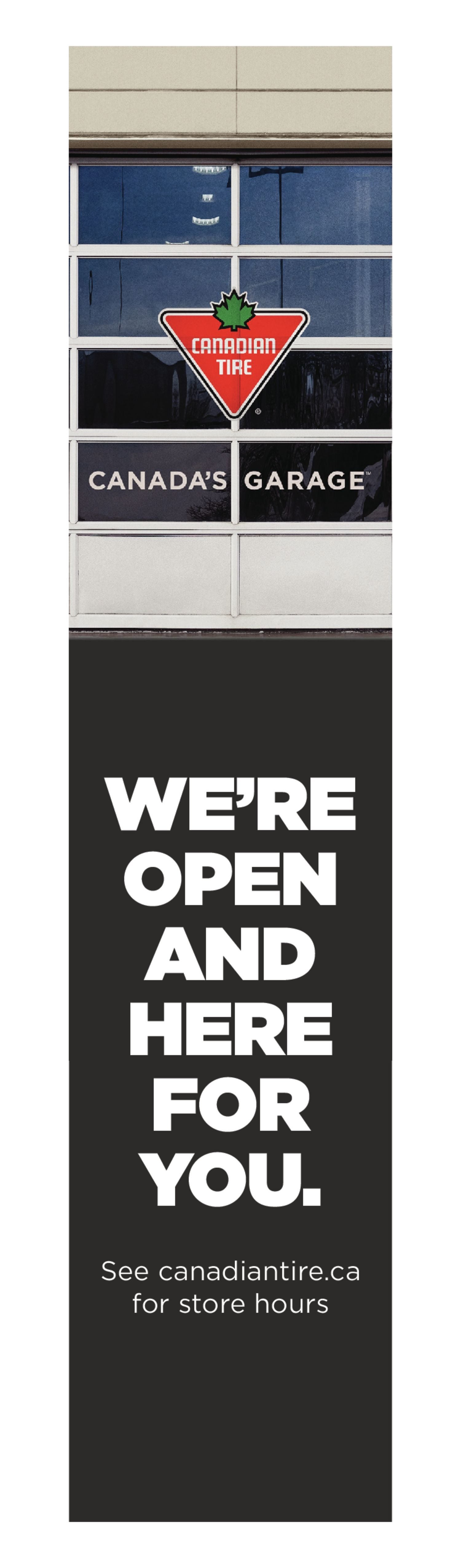 pogo ball canadian tire