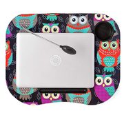 Owl Laptable With Light - $19.99 (51% Off)