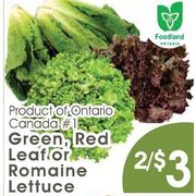 Green, Red Leaf Or Romaine Lettuce - 2/$3.00