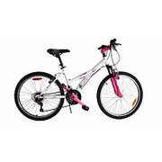 avigo bike 24 inch