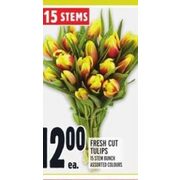 Fresh Cut Tulips - $12.00