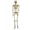 5' Hanging Skeleton - $54.99 (Up to 50% off)