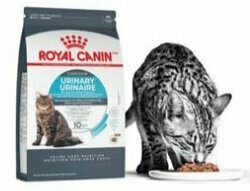 Pet valu royal canin sale